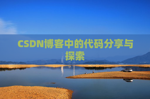 CSDN博客中的代码分享与探索